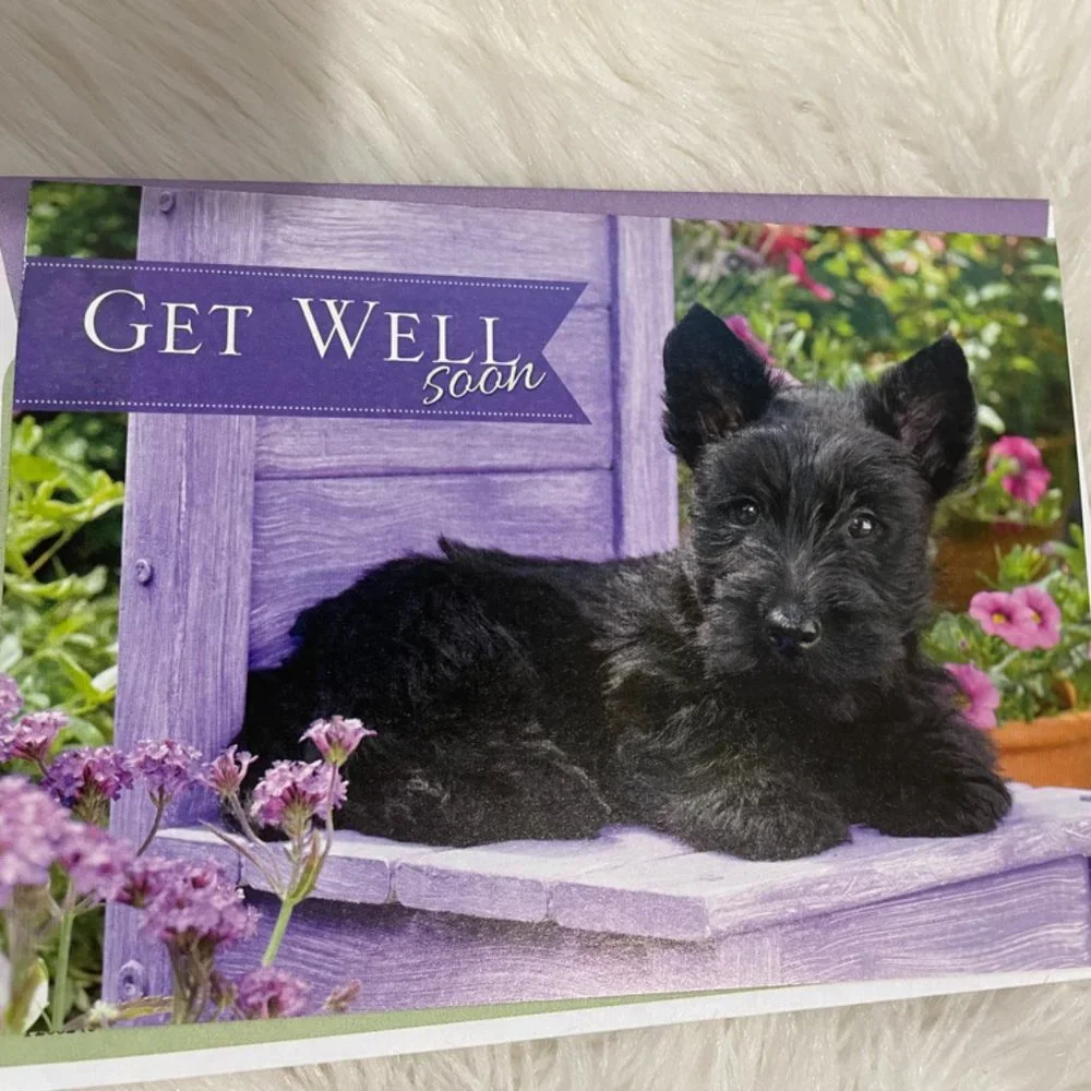 6 Assorted Greeting Cards Animals & Flowers matching print envelopes